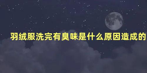 羽绒服洗完有臭味是什么原因造成的