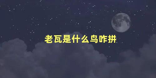 老瓦是什么鸟咋拼