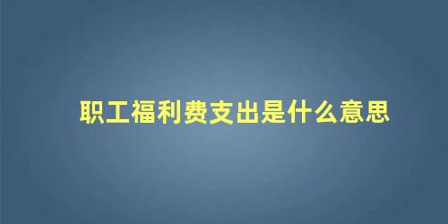 职工福利费支出是什么意思