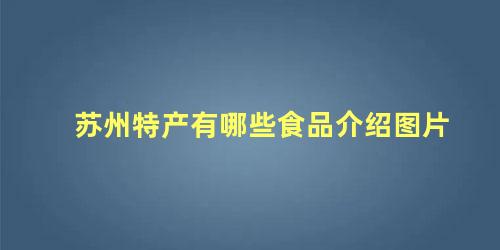 苏州特产有哪些食品介绍图片