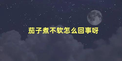 茄子煮不软怎么回事呀