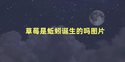 草莓是蚯蚓诞生的吗图片