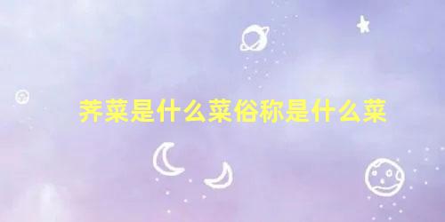 荠菜是什么菜俗称是什么菜