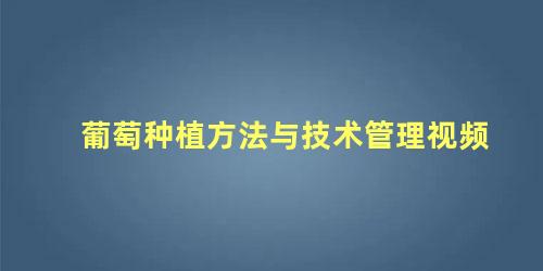 葡萄种植方法与技术管理视频