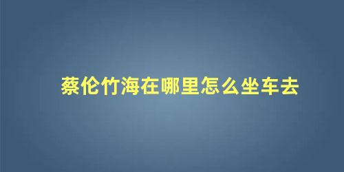 蔡伦竹海在哪里怎么坐车去