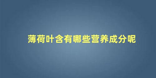 薄荷叶含有哪些营养成分呢