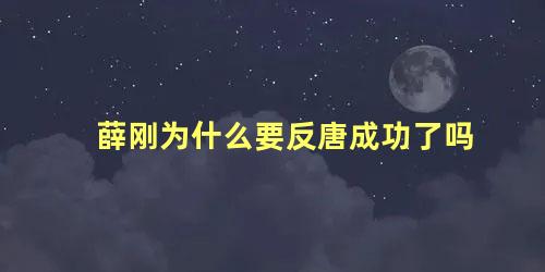 薛刚为什么要反唐成功了吗