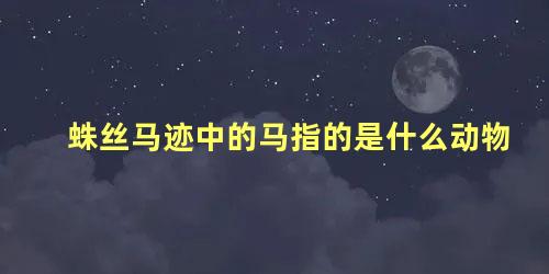 蛛丝马迹中的马指的是什么动物