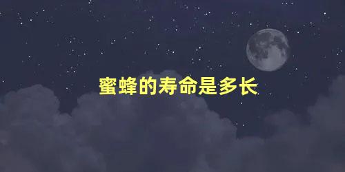 蜜蜂的寿命是多长