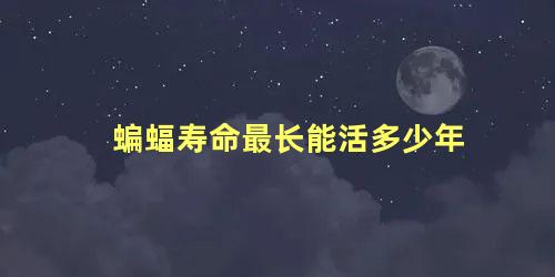 蝙蝠寿命最长能活多少年