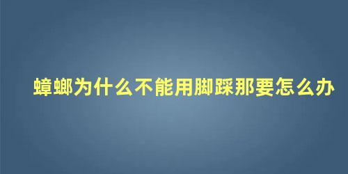 蟑螂为什么不能用脚踩那要怎么办