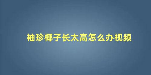 袖珍椰子长太高怎么办视频