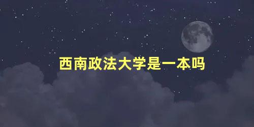 西南政法大学是一本吗