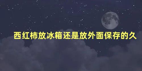 西红柿放冰箱还是放外面保存的久