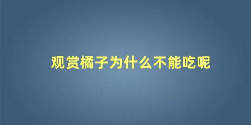 观赏橘子为什么不能吃呢