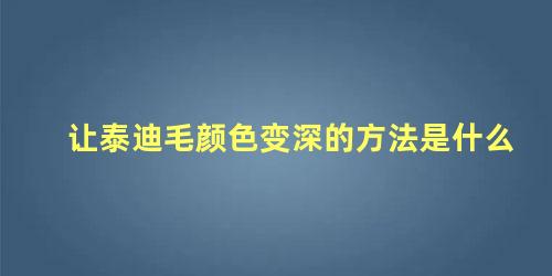 让泰迪毛颜色变深的方法是什么