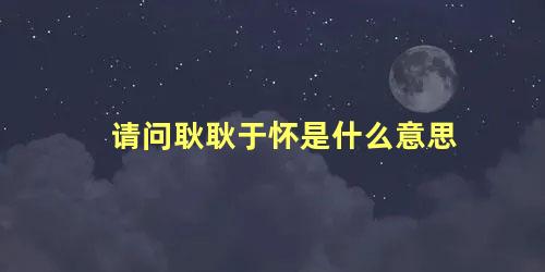 请问耿耿于怀是什么意思