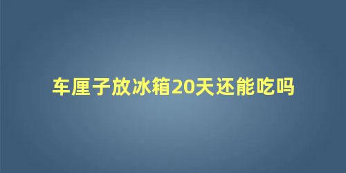 车厘子放冰箱20天还能吃吗