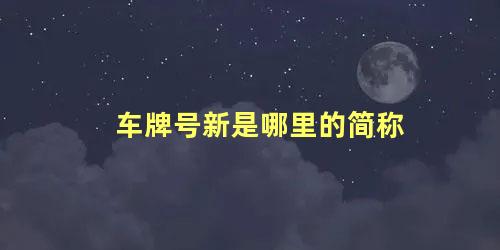 车牌号新是哪里的简称