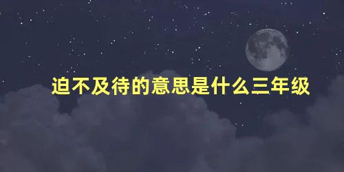 迫不及待的意思是什么三年级