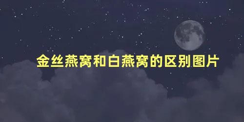 金丝燕窝和白燕窝的区别图片