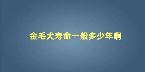 金毛犬寿命一般多少年啊