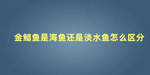 金鲳鱼是海鱼还是淡水鱼怎么区分