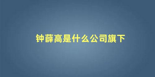 钟薛高是什么公司旗下