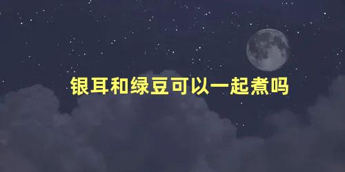 银耳和绿豆可以一起煮吗