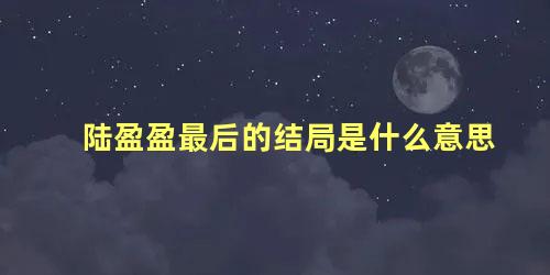 陆盈盈最后的结局是什么意思