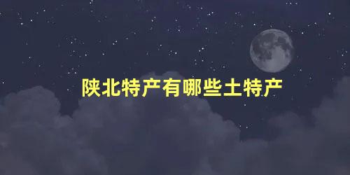 陕北特产有哪些土特产