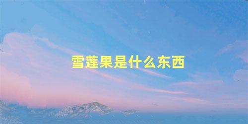 雪莲果是什么东西