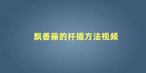 飘香藤的扦插方法视频