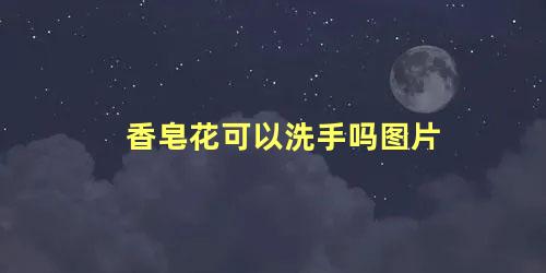 香皂花可以洗手吗图片