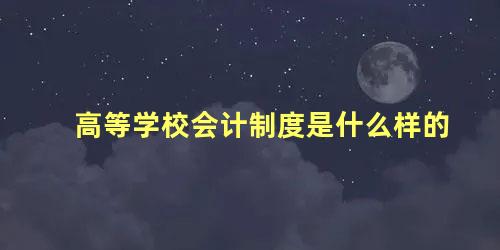 高等学校会计制度是什么样的