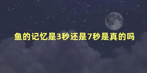 鱼的记忆是3秒还是7秒是真的吗