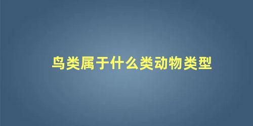 鸟类属于什么类动物类型