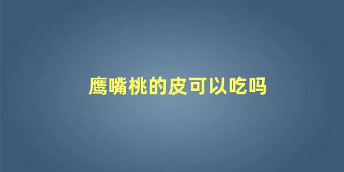 鹰嘴桃的皮可以吃吗