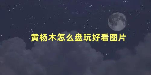 黄杨木怎么盘玩好看图片