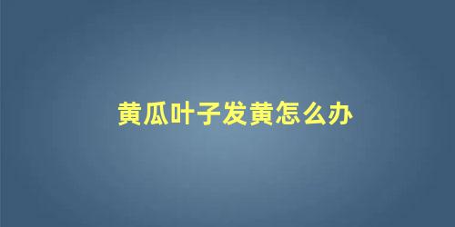 黄瓜叶子发黄怎么办