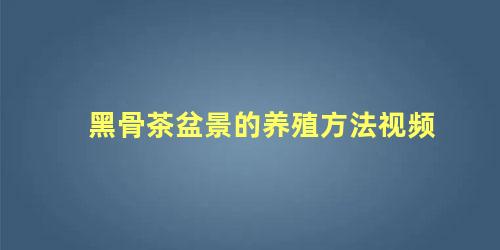 黑骨茶盆景的养殖方法视频