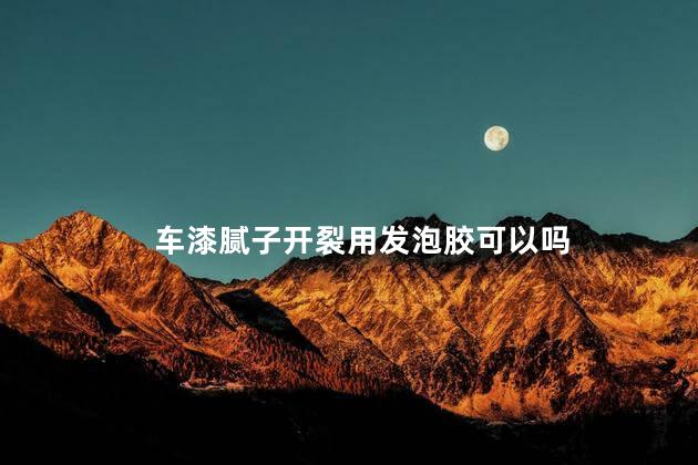 车漆腻子开裂用发泡胶可以吗