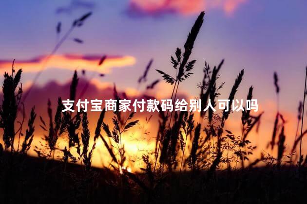 支付宝商家付款码给别人可以吗