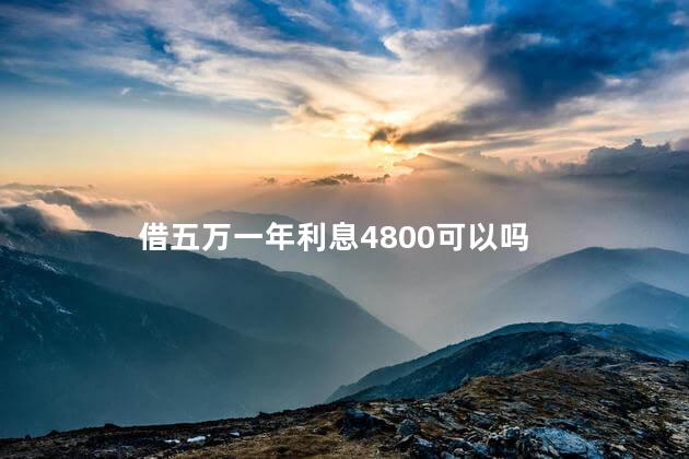 借五万一年利息4800可以吗