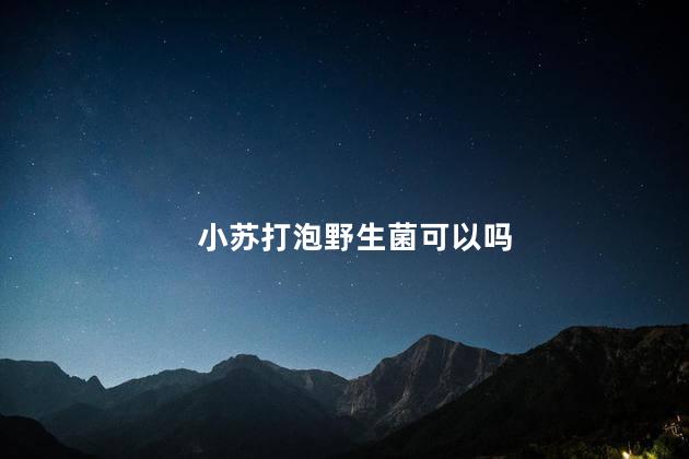 小苏打泡野生菌可以吗