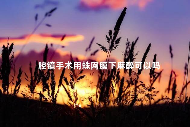 腔镜手术用蛛网膜下麻醉可以吗