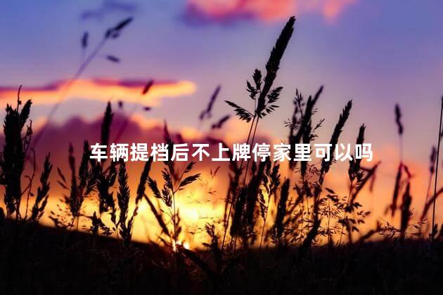 车辆提档后不上牌停家里可以吗