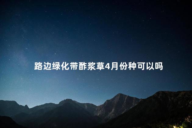 路边绿化带酢浆草4月份种可以吗