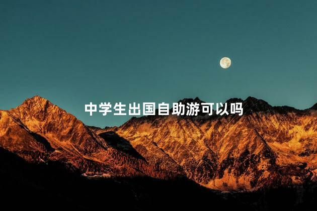 中学生出国自助游可以吗