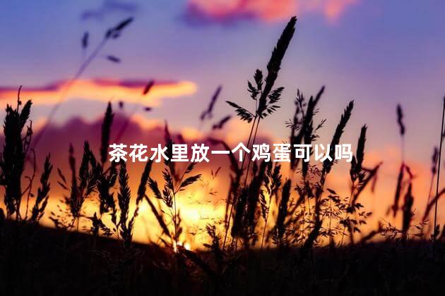 茶花水里放一个鸡蛋可以吗